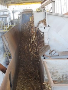 Recepção de Cana completa