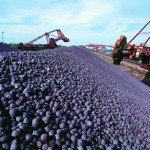 mineração de ferro